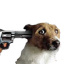 oboqogeb